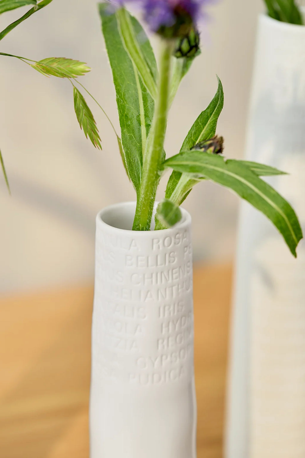 Room poetry. Vase. Small