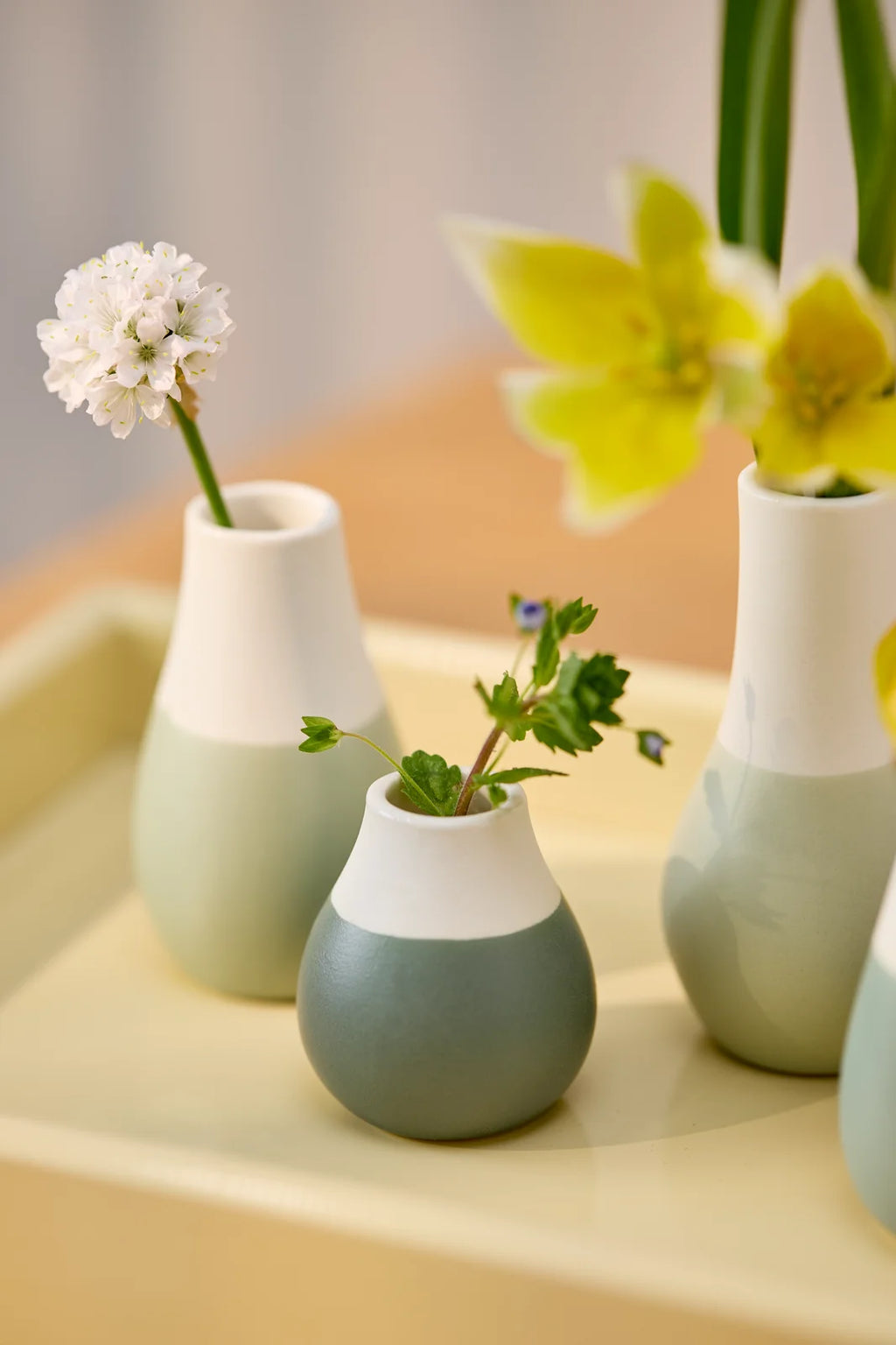 Mini paste vases Set of 4pcs Set green D.4cm Height.4.5-8cm