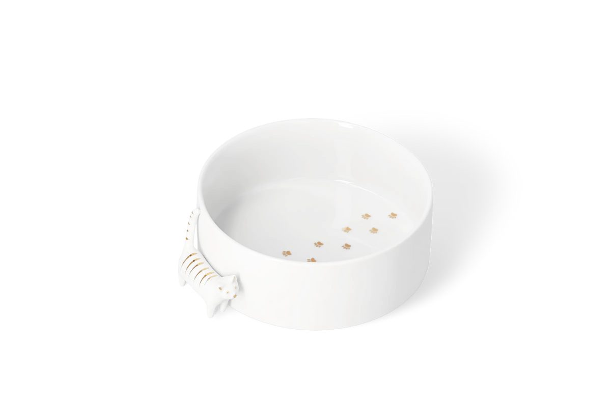 Bowl cat