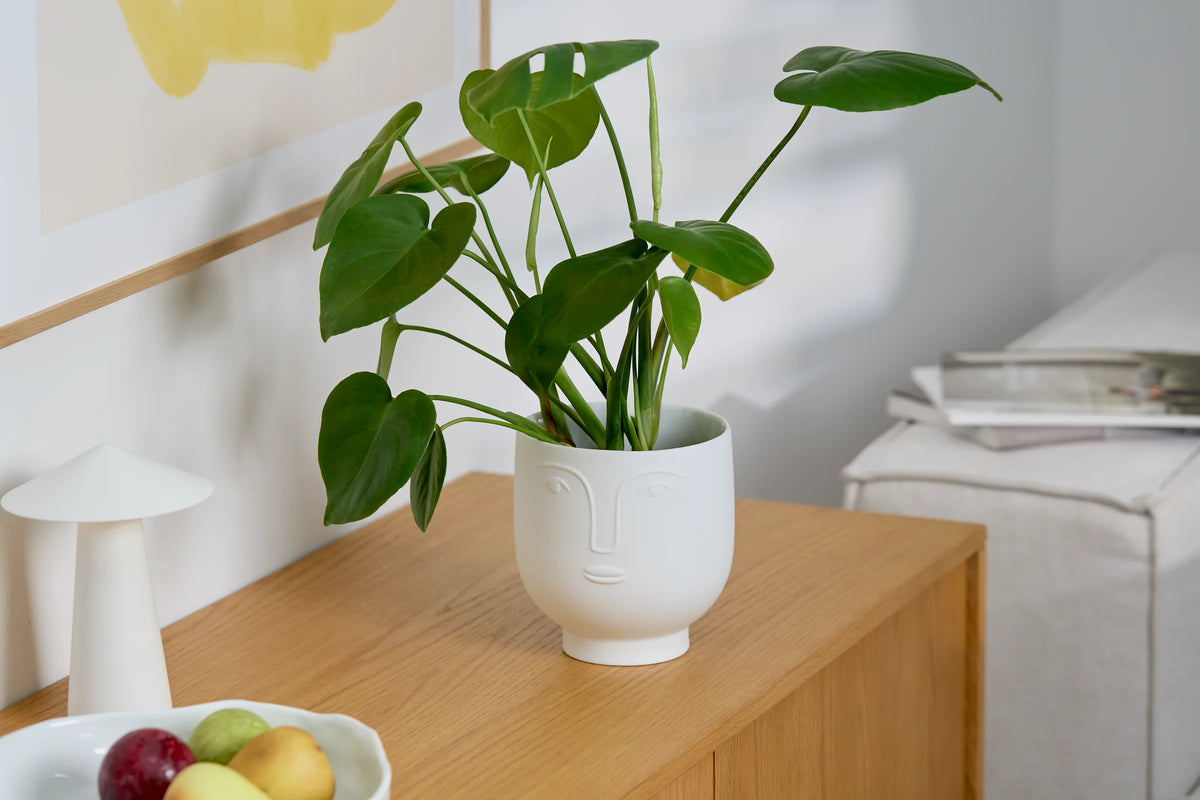Flower carrier flower pot Floris D.15cm H.15.5cm