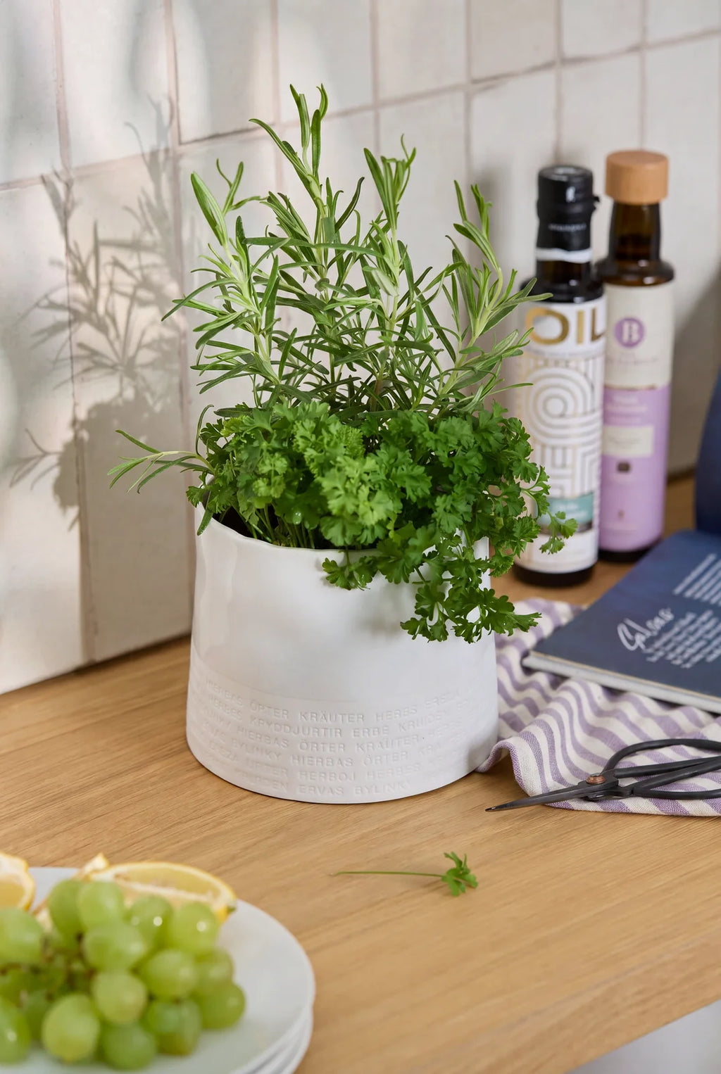 Herb pot