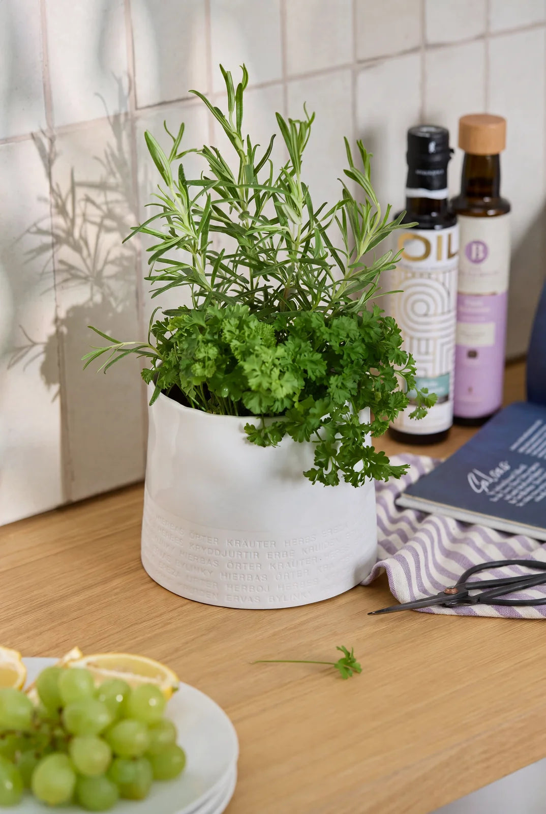 Herb pot