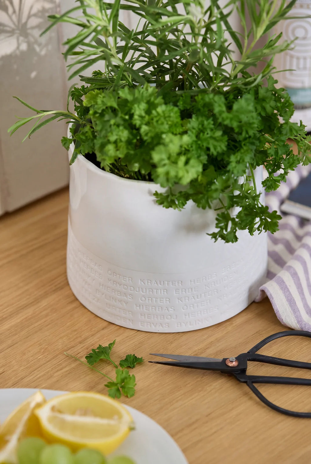 Herb pot