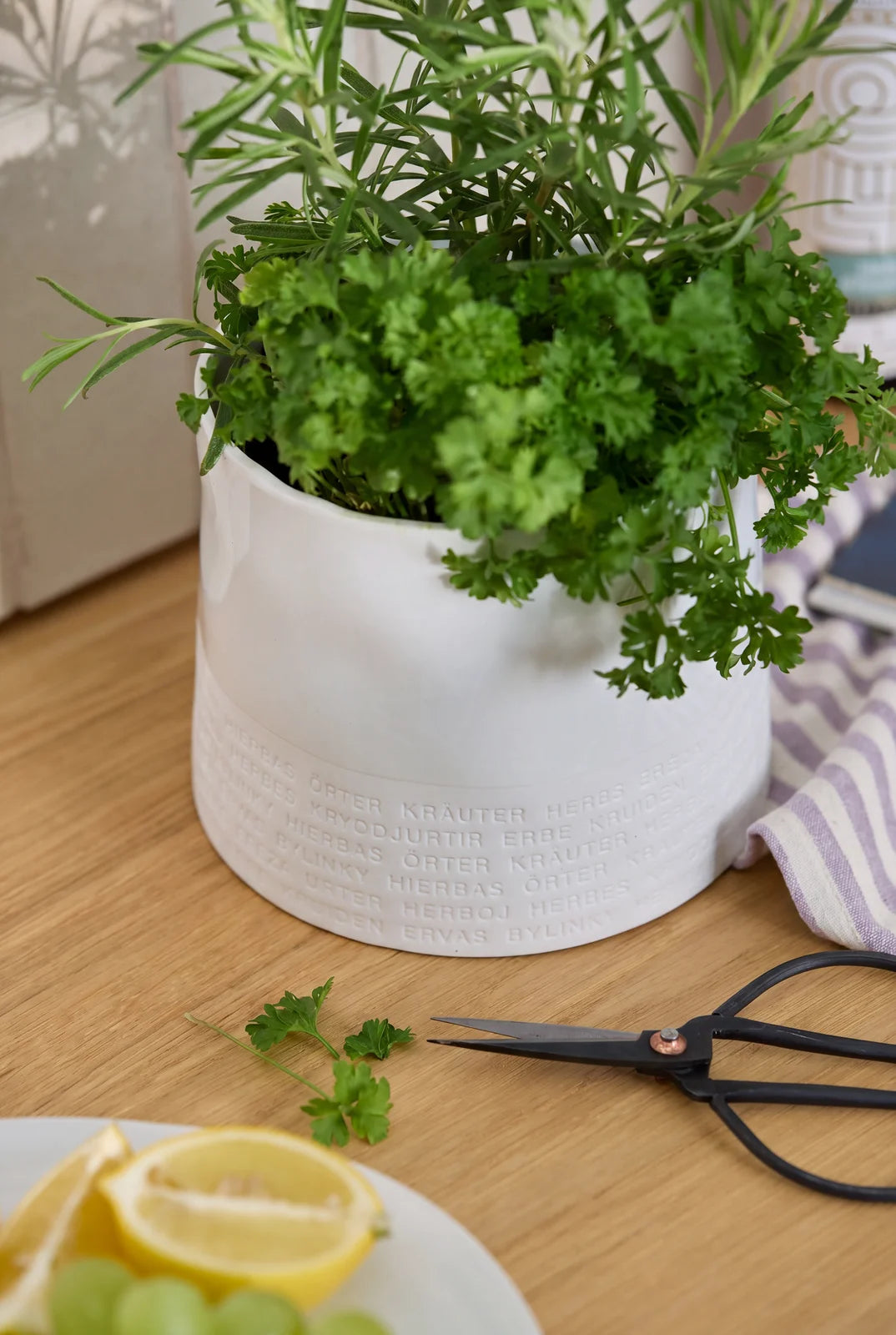Herb pot