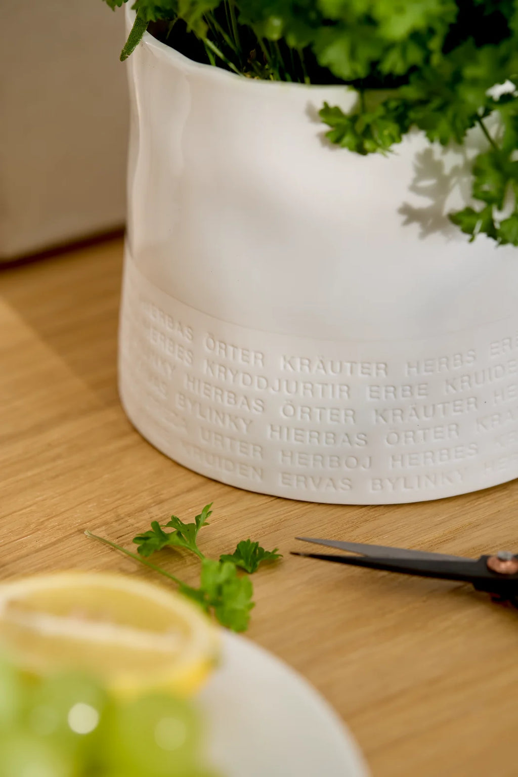 Herb pot
