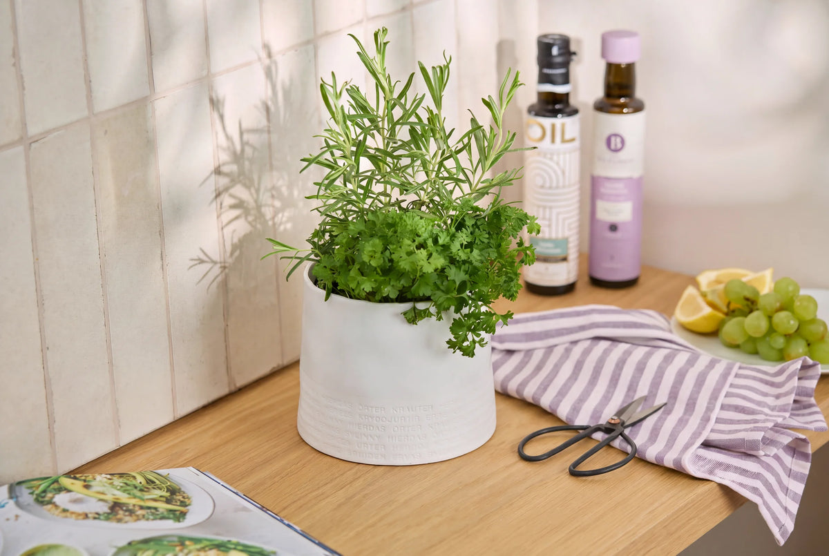 Herb pot