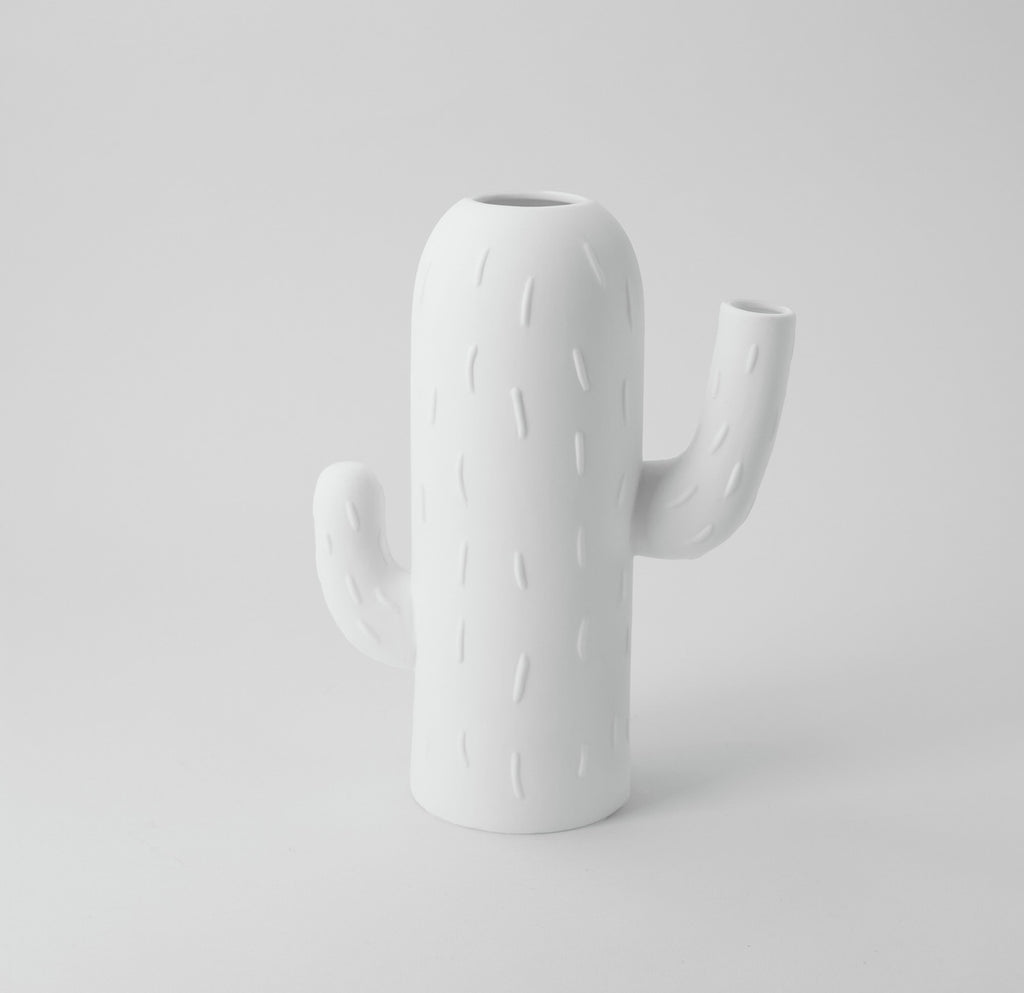 Cactus vase 15x7,5x20cm