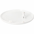 Plate Dog