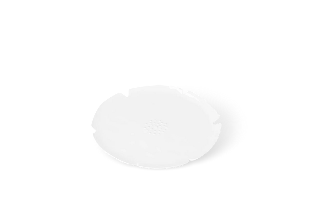 The Blooming Life Plate