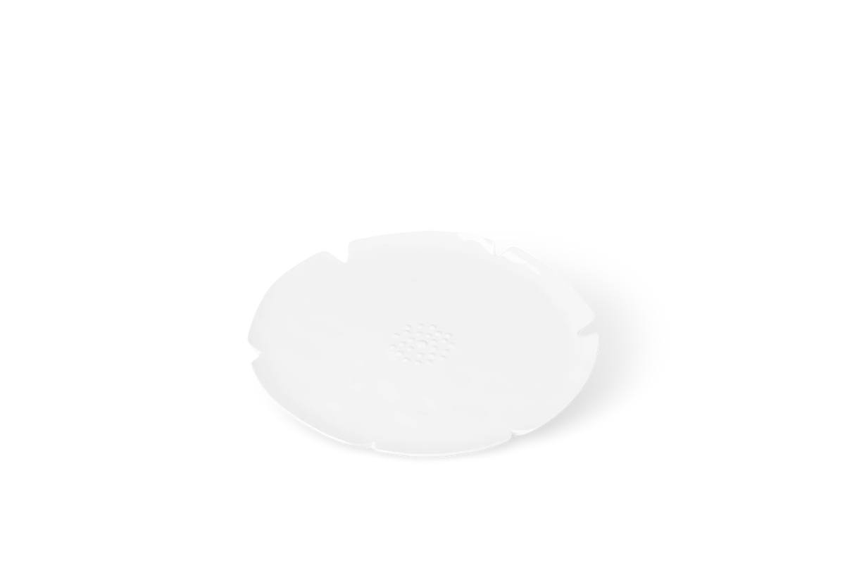 The Blooming Life Plate