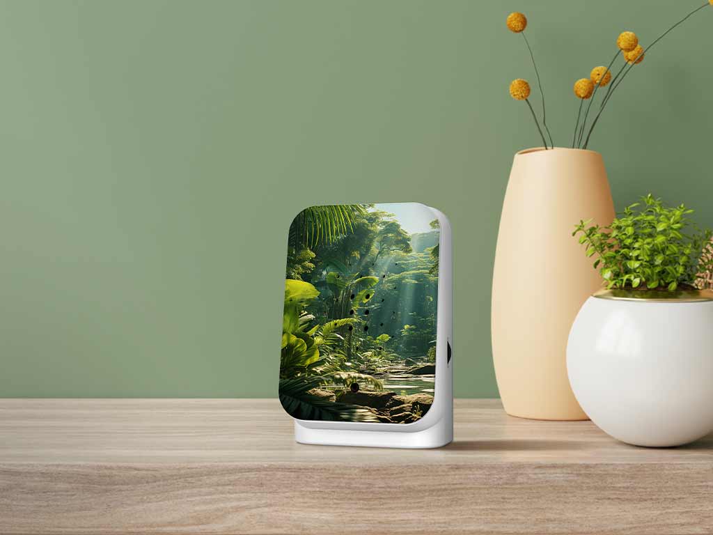 Junglebox in the home