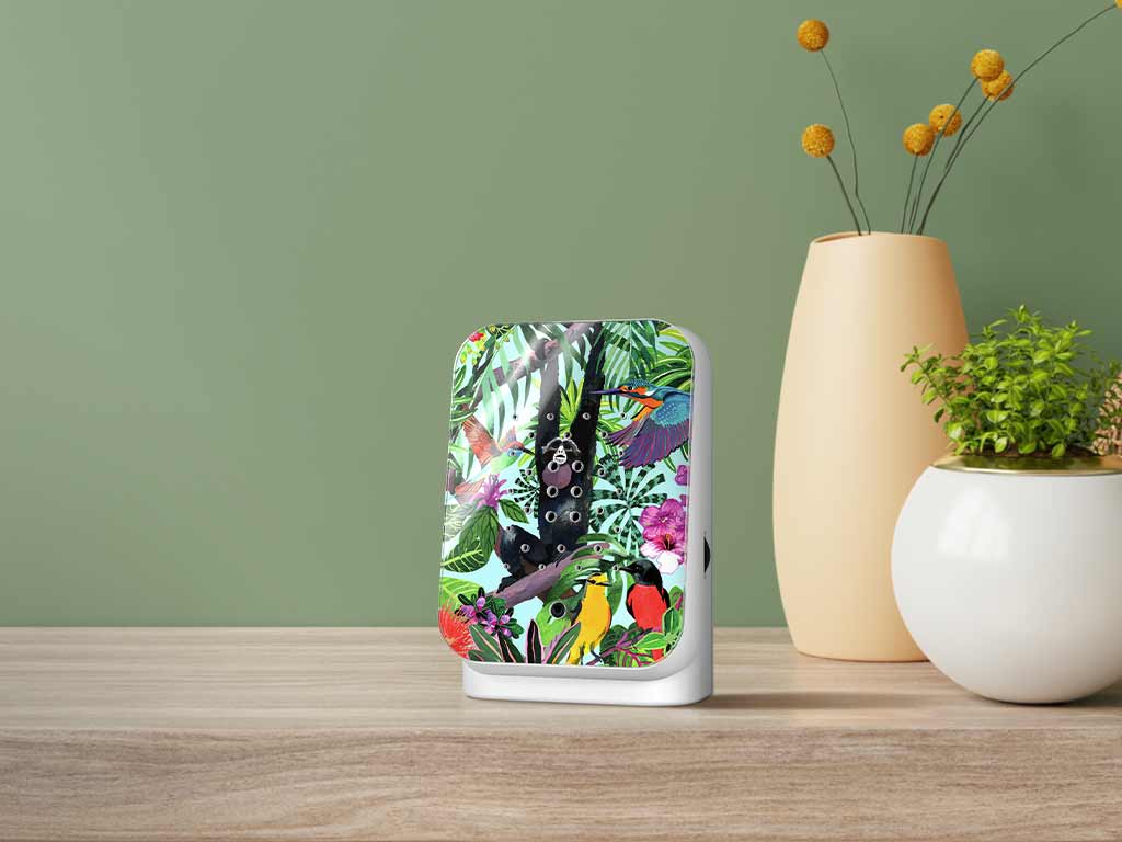Junglebox lifestyle
