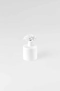 Air Refresher Chrysanthemum