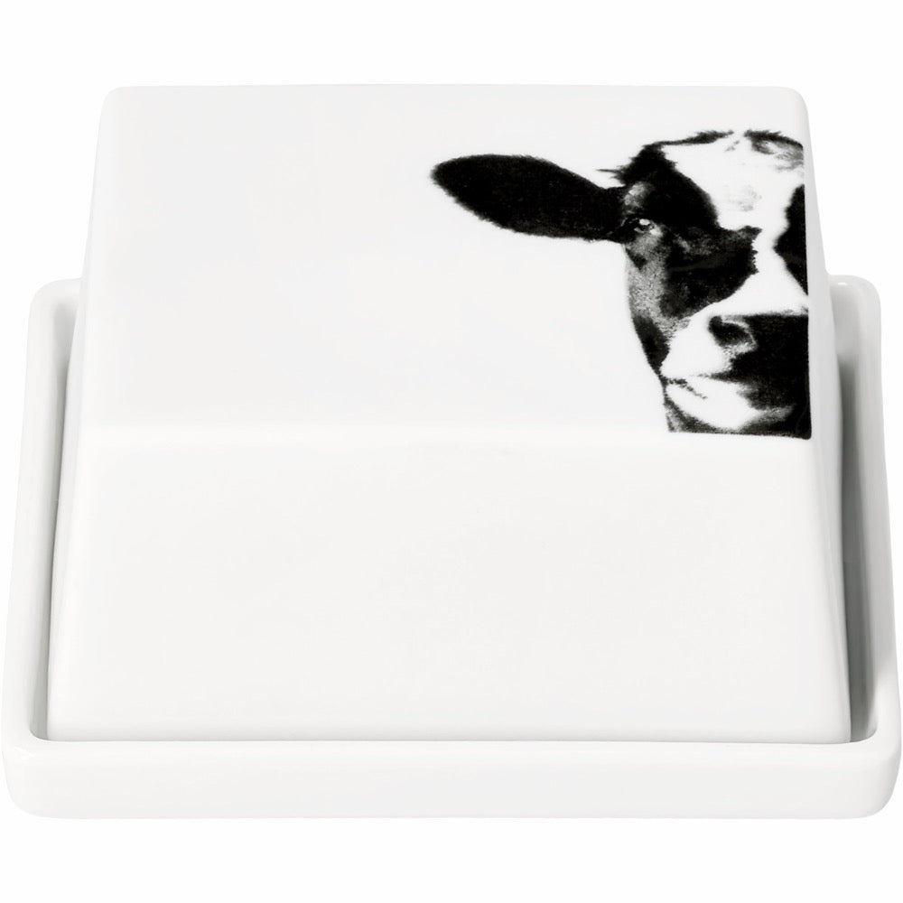 butter dish 1/4 cow