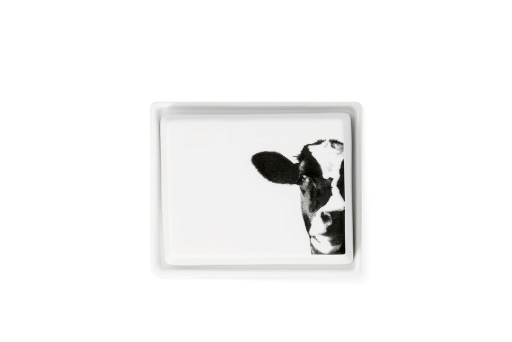 butter dish 1/4 cow