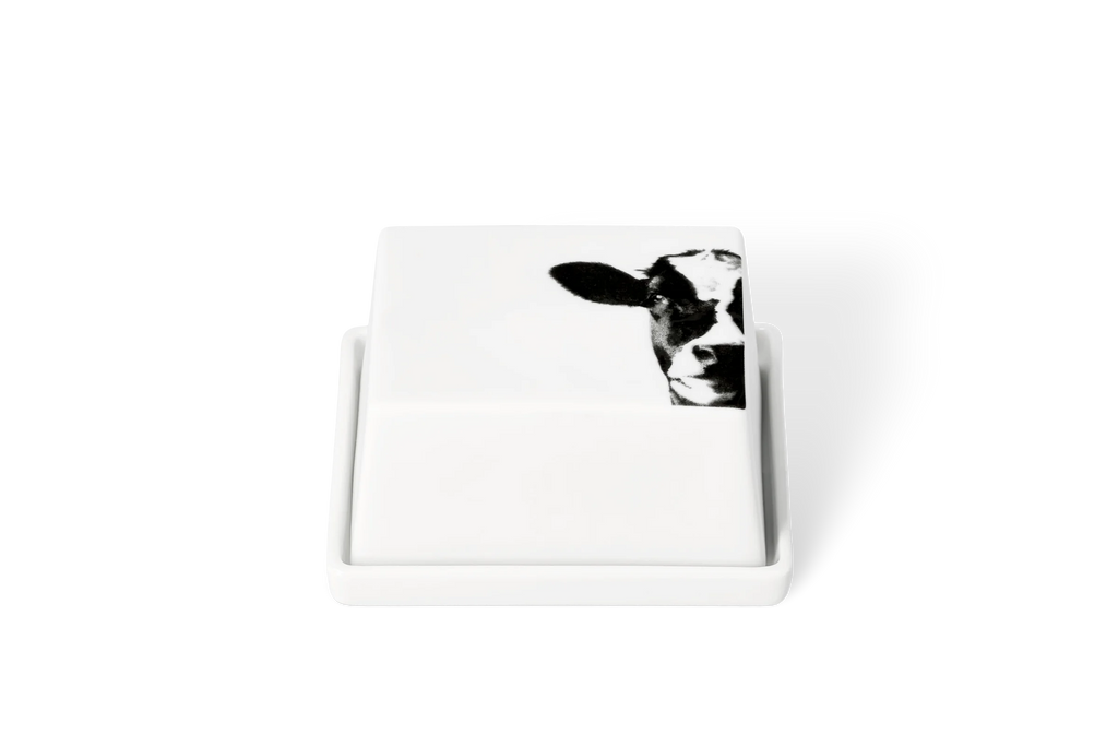 butter dish 1/4 cow