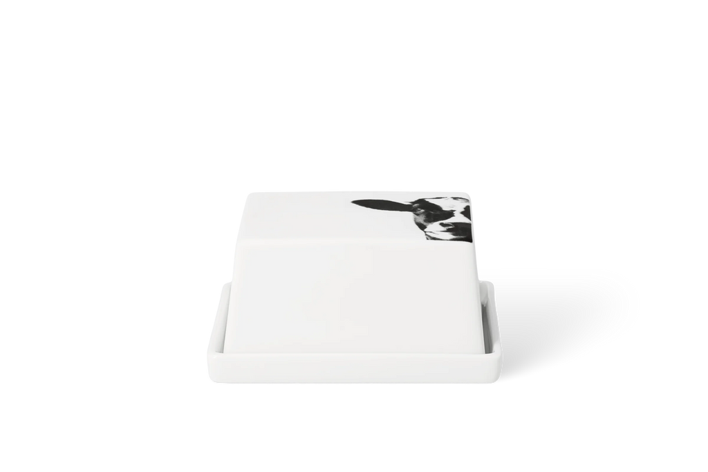butter dish 1/4 cow