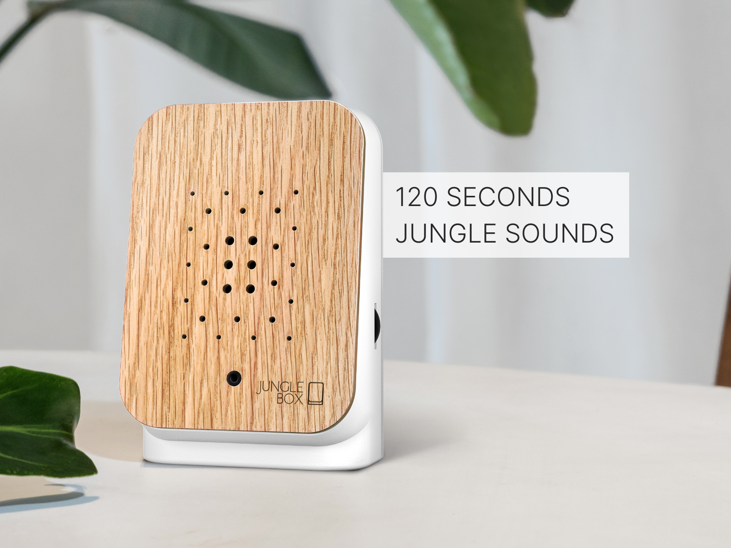 How the Junglebox works