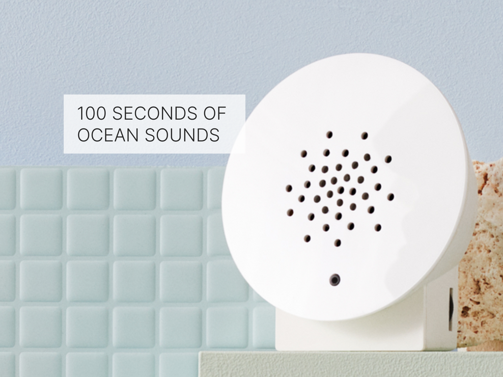 How the Oceanbox works