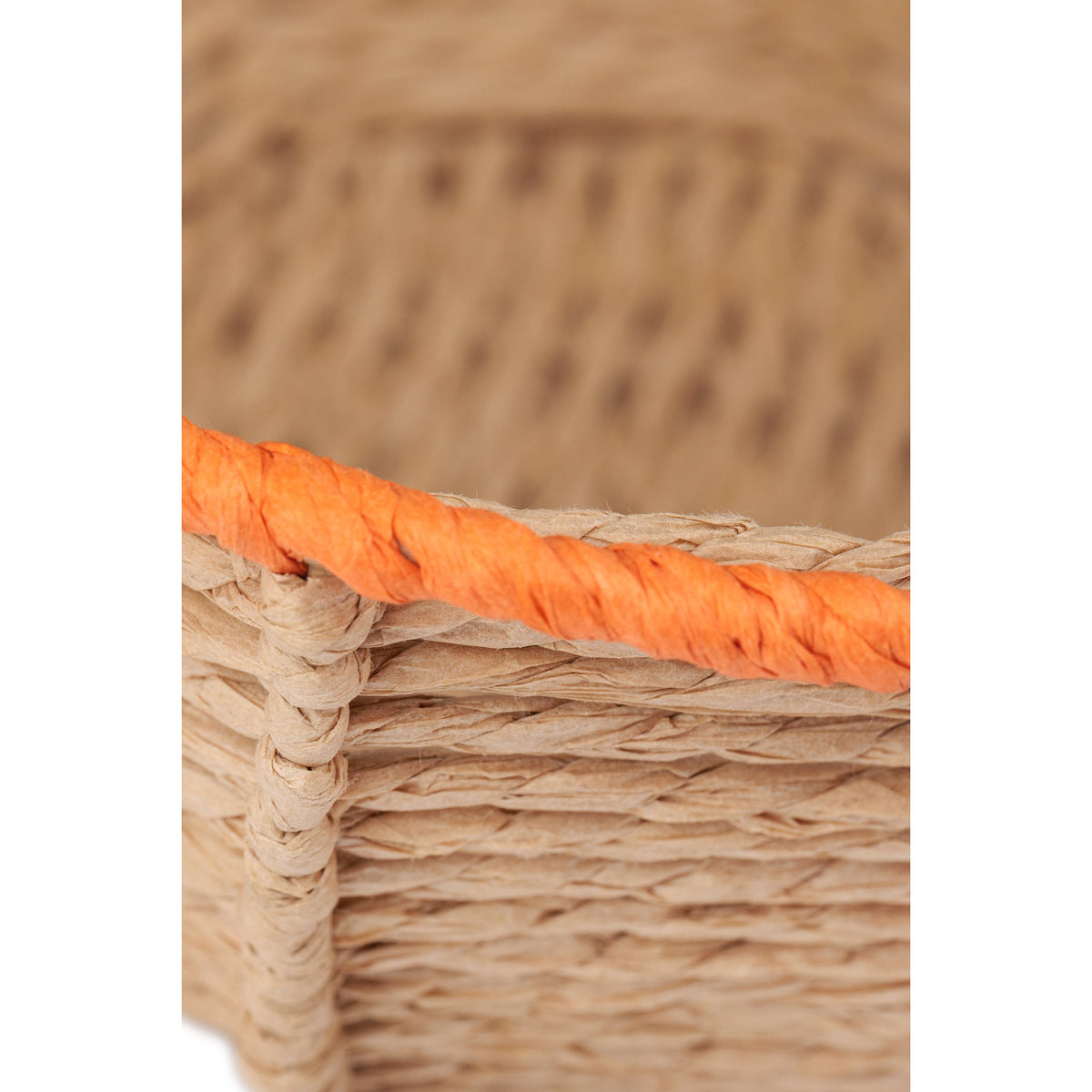 Incarta Sea Turtle Basket
